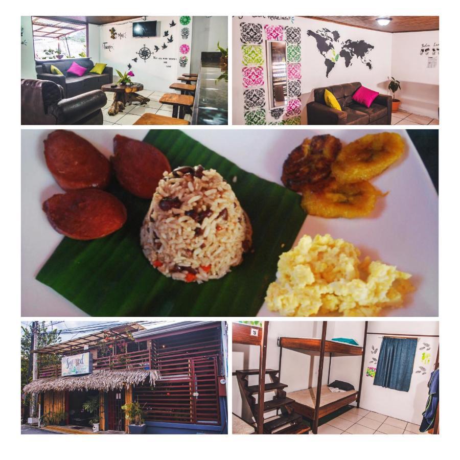 Passifloras Hostel Quepos Εξωτερικό φωτογραφία